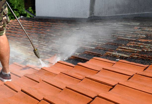 Best Local Pressure Washing Services  in Farmington, NM