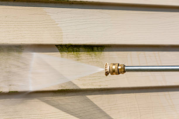 Best Local Pressure Washing Services  in Farmington, NM